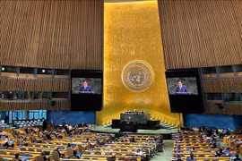 Ambassador Do Hung Viet, Permanent Representative of Vietnam to the United Nations, speaks at the high-level international conference for the peaceful settlement of the question of Palestine and the implementation of the two-state solution. (Photo: VNA)