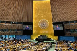 Ambassador Do Hung Viet, Permanent Representative of Vietnam to the United Nations, speaks at the high-level international conference for the peaceful settlement of the question of Palestine and the implementation of the two-state solution. (Photo: VNA)
