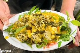 Snail dishes are attractively prepared, drawing the attention of diners. (Photo: dantri.com.vn)