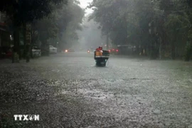 Heavy rain causes severe flooding on many roads across Nghe An province on November 3. (Photo: VNA) 