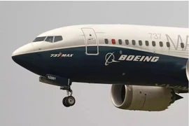 A Boeing 737 Max jet (Photo: AP)