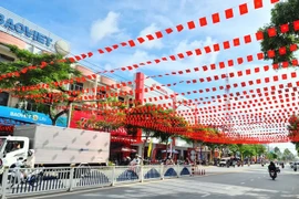 A section of Nguyen Hue Street in Cao Lanh ward, Dong Thap province decorated in celebration of the 14th National Party Congress. (Photo: dongthap.gov.vn)