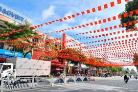 A section of Nguyen Hue Street in Cao Lanh ward, Dong Thap province decorated in celebration of the 14th National Party Congress. (Photo: dongthap.gov.vn)