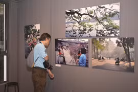 A visitor admires photos by Nicolas Cornet at the “Hanoi Oi” exhibition – an event held in conjunction with the launch of the book of the same name. (Photo: VietnamPlus)