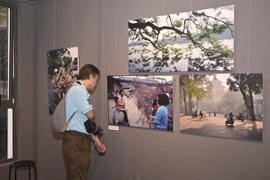 A visitor admires photos by Nicolas Cornet at the “Hanoi Oi” exhibition – an event held in conjunction with the launch of the book of the same name. (Photo: VietnamPlus)
