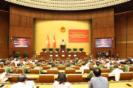 An overview of the conference at the central venue, Dien Hong Hall of the National Assembly House in Hanoi on July 29. (Photo: VNA)