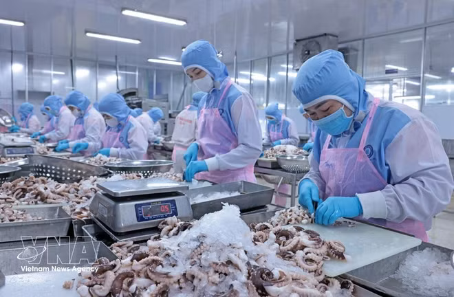 potal-nam-2026-viet-nam-phan-dau-xuat-khau-thuy-san-dat-kim-ngach-115-ty-usd-8567224.jpg