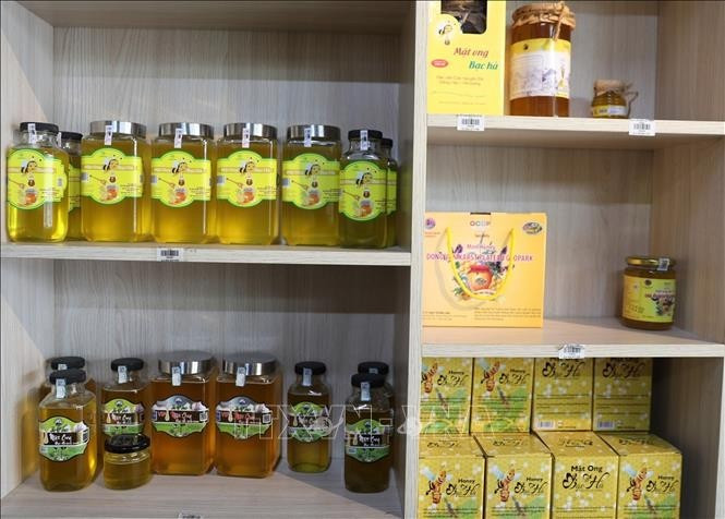 Mint honey is a key product of Dong Van Karst Plateau in Ha Giang province. (Photo: VNA)