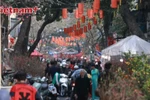 Festive spirit of Tet in Hanoi’s Old Quarter 