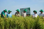 Vietnam makes strides in sustainable agricultural development