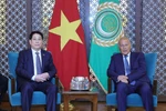 Vietnam expects more substantive, effective ties with Arab League: President