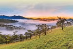 Top 10 domestic destinations most-searched by Vietnamese travelers for Lunar New Year 