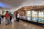 Exploring Nha Trang Museum of Oceanography