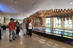 Exploring Nha Trang Museum of Oceanography