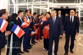 General Secretary of the Communist Party of Vietnam Central Committee and President To Lam and his spouse are welcomed at Orly Airport by the Vietnamese Embassy staff and members of the Vietnamese community in France early in the morning of September 10. (Photo: VNA)