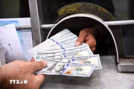 The daily reference exchange is set at 25,239 VND/USD on August 7. (Photo: VNA)