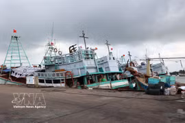 Vessels at Cat Lo Fishing Port in Phuoc Thang ward, Ho Chi Minh City (Photo: VNA)