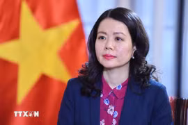 Deputy Minister of Foreign Affairs Nguyen Minh Hang (Photo: VNA)