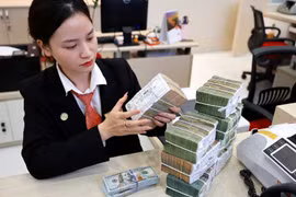 The daily reference exchange rate is at 25,109 VND/USD on October 16. (Photo: VNA)