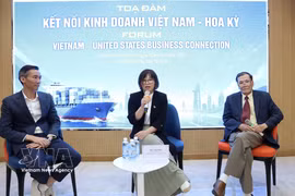 Some experts at the Vietnam – US Business Connection forum held in Ho Chi Minh City on July 10, 2026 (Photo: VNA)