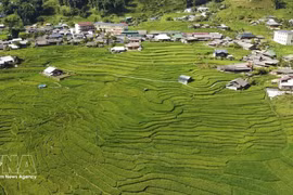 Ta Van village offers ideal trekking trails for those who enjoy outdoor activities and want to get close to and explore nature. (Photo: VNA)