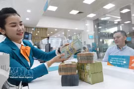The daily reference exchange rate is set at 25,617 VND/USD on September 15. (Photo: VNA)