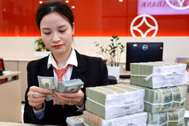 The daily reference exchange rate is maintained at 25,273 VND/USD on August 27. (Photo: VNA)