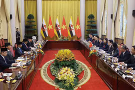 The talks between State President Luong Cuong and Sultan of Brunei Haji Hassanal Bolkiah in Hanoi on December 1 (Photo: VNA)