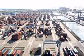 The Cai Mep- Thi Vai seaport complex in HCM City (Photo: VNA)