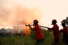 Firefighters work to extinguish a land fire in South Sumatra, Indonesia. (Photo: Xinhua/VNA)