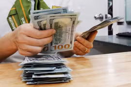 The daily reference exchange rate is set at 25,097 VND/USD on November 5. (Photo: VNA)