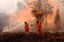 Firefighters strive to extinguish a forest fire in Kampar of Indonesia's Riau province on July 20, 2025. (Photo: Xinhua/VNA)
