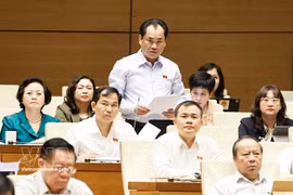Minister of Agriculture and Environment Trinh Viet Hung speaks at the October 31 plenary discussion of the 16th National Assembly's second session. (Photo: VNA)