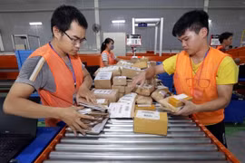 Workers sorting out packages at a delivery company in HCM City. (Photo: VNA)