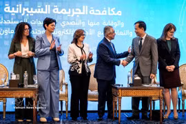 Vietnamese Ambassador to Egypt Nguyen Nam Duong (second from right) and other participants in the conference held in Cairo on June 14–15 (Photo: VNA)