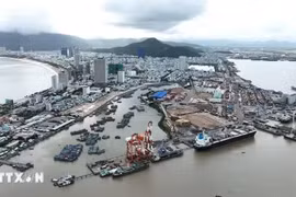 Quy Nhon Port, located in Quy Nhon Bay of Gia Lai province, offers highly favourable conditions for vessel anchoring and cargo handling throughout the year. (Photo: VNA)