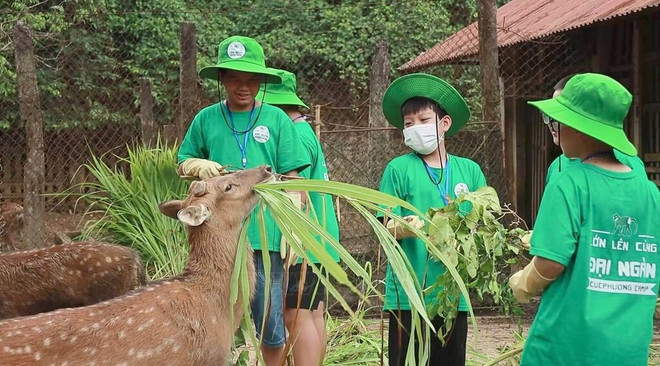 Children feed deer as part of the Cuc Phuong Camp 2024, an experiential programme in Cuc Phuong National Park. (Photo: VNA) cuc-phuong-national-park-2.jpg