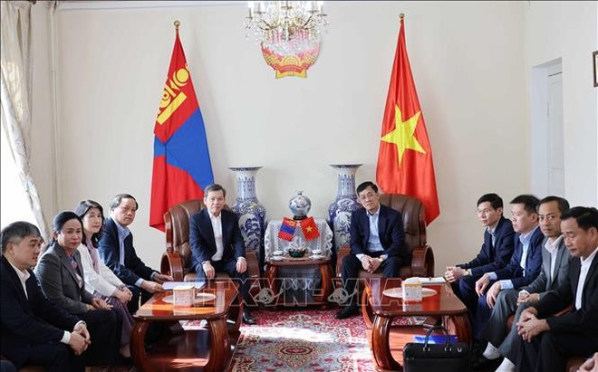 The delegation of the Supreme People’s Court of Vietnam visits the VIetnamese Embassy in Mongolia. (Photo: VNA) vietnamese-supreme-peoples-court-delegation-visits-mongolia.jpg