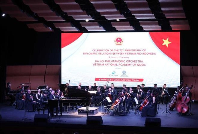 concert-marking-vietnam-indonesia-diplomatic-ties.jpg