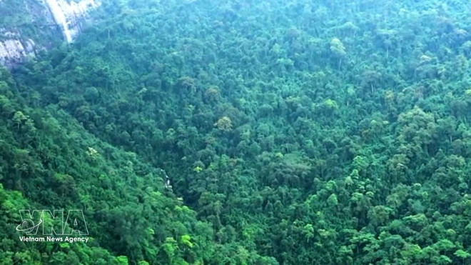 forest-in-thanh-hoa.jpg