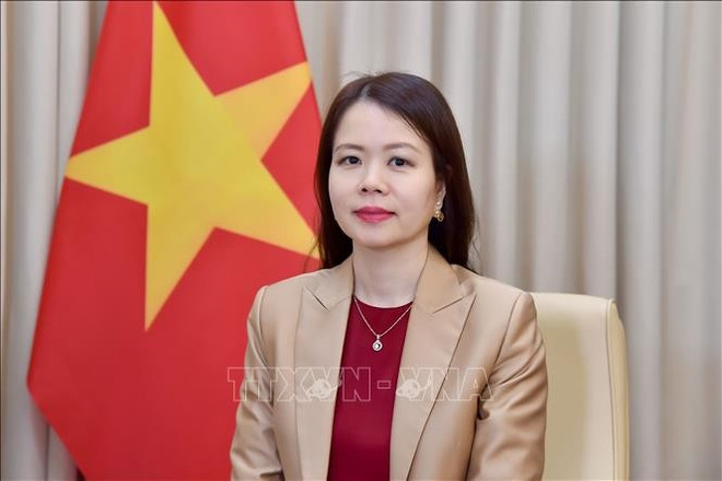 deputy-minister-of-foreign-affairs-nguyen-minh-hang.jpg