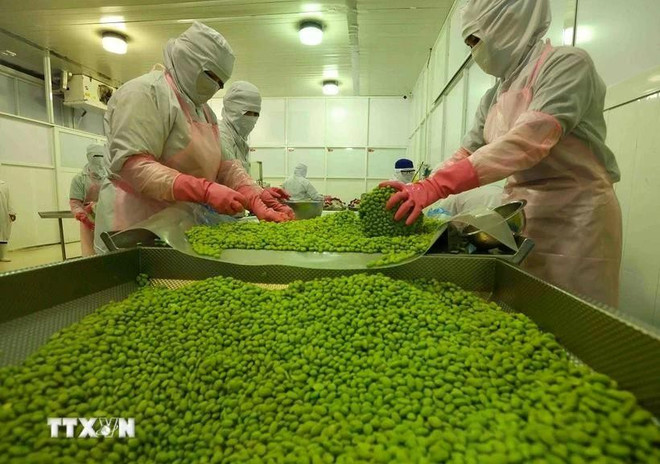 fruit-export-1.jpg