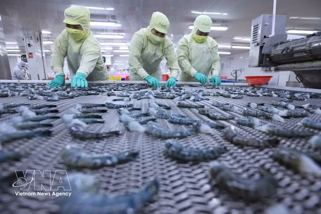 vietnams-seafood-exports.jpg