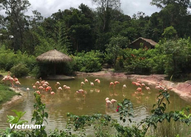 Part of Vinpearl Safari Phu Quoc (Photo: VietnamPlus) vinpearl-safari-phu-quoc.jpg
