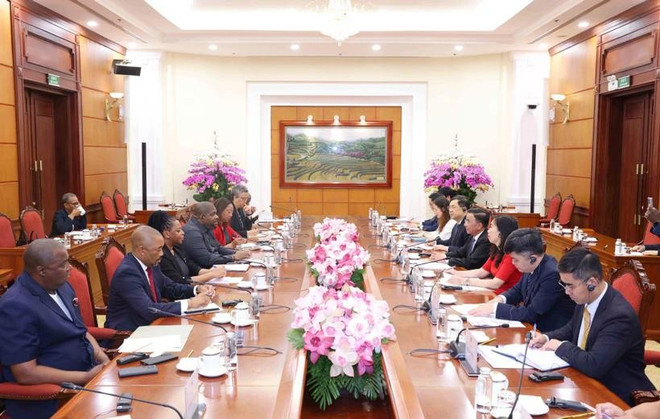 The meeting between Politburo member and permanent member of the Communist Party of Vietnam Central Committee’s Secretariat Tran Cam Tu and Secretary General of the ruling Mozambique Liberation Front (FRELIMO) Party Chakil Aboobabcar on April 28 (Photo: VNA) officials-of-vietnamese-mozambican-parties-hold-talks.jpg