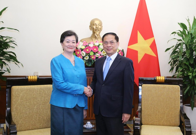 Deputy Prime Minister and Minister of Foreign Affairs Bui Thanh Son (R) receives Cambodian Ambassador to Vietnam Chea Kimtha in Hanoi on July 31. (Photo: Ministry of Foreign Affairs) deputy-pm-fm-receives-cambodian-ambassador.jpg