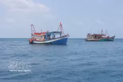Ca Mau is currently home to more than 5,200 fishing vessels, including nearly 1,900 boats measuring over 15 metres in length, and all have been equipped with vessel monitoring systems. (Illustrative photo: VNA)