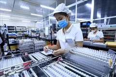 Workers at a factory (Photo: VNA)