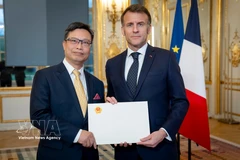 Vietnamese Ambassador Trinh Duc Hai (L) presents his credentials to French President Emmanuel Macron. (Photo: VNA)