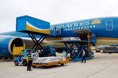 The flight carrying the mortal remains of Indian victims departs Ho Chi Minh City on July 13. (Photo published by VNA)